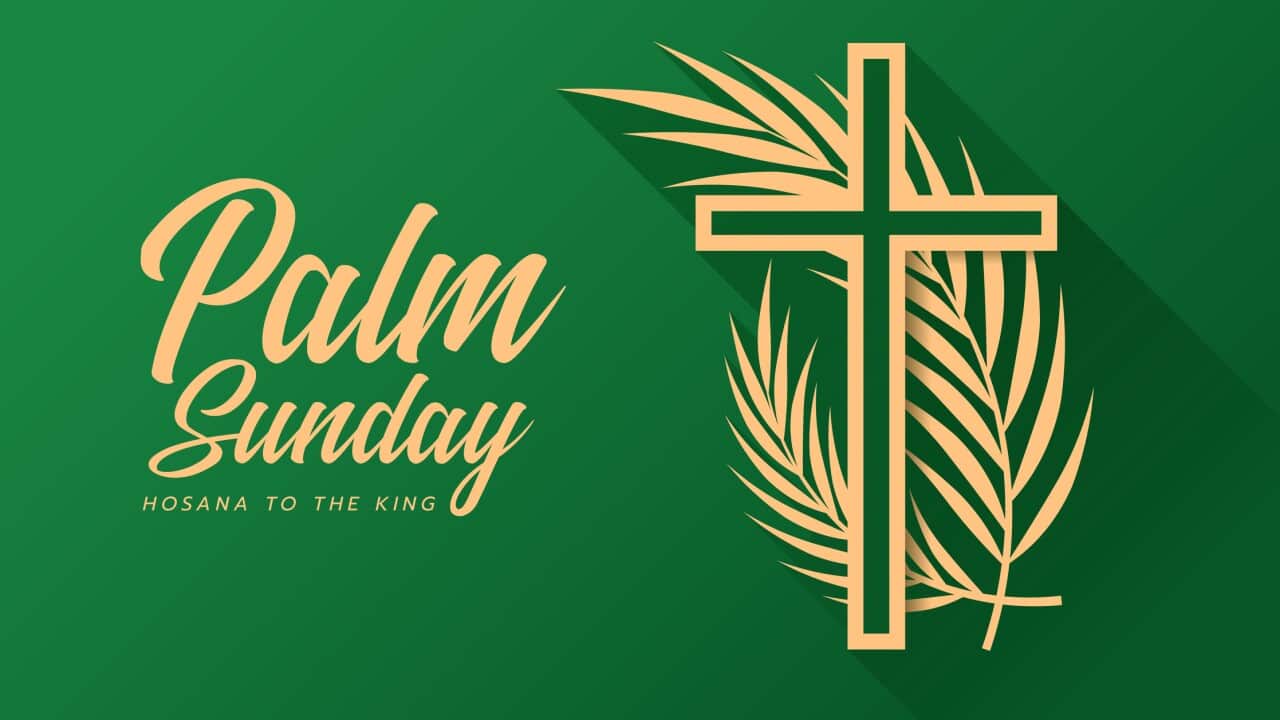 Palm sunday - hosana to the king gold cross crucifix sign with plam leaves around on green background vector design